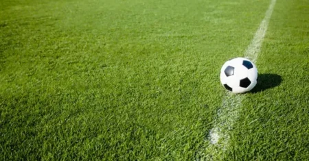 Gramado natural: Quais as melhores gramas para o Futebol